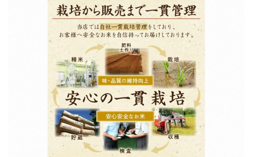 京都・丹後コシヒカリ 無洗米 5kg　米 お米 コシヒカリ ふるさと納税 無洗米 ふるさと納税 米 ふるさと納税 お米 ふるさと納税 コシヒカリ 農家応援 生産者応援 送料無料