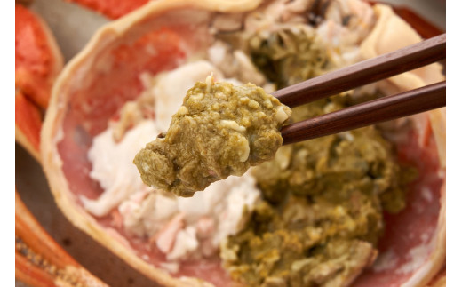 【先行予約】【厳選！タグ付きブランド蟹】茹で松葉かに（600g級×2杯）（2026年1月～発送）