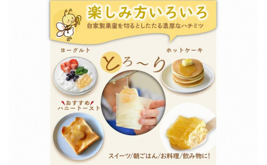 KYOTOTANGOHONEY森の百花蜜純粋天然ハチミツ（巣蜜入り純粋天然ハチミツ１５０ｇ、純粋天然ハチミツ１５０ｇセット）　蜂蜜・はちみつ・国産・天然・ハチミツ・巣みつ・巣密・純粋はちみつ