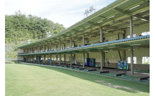 蛻・繧ス繧ヲ繧エ繝ォ繝輔そ繝ウ繧ソ繝シ邱エ鄙堤畑繝懊シ繝ォ蠑墓鋤蛻ク3,000蜀蛻ク(13繧ウ繧、繝ウ繝サ險520逅蛻シ