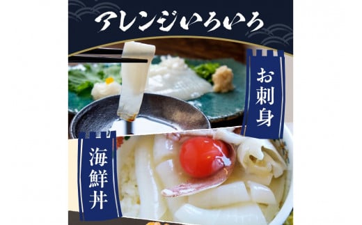 【先行予約】京丹後産　『海の京都』の逸品！！　活白イカ姿造り（クリスタル白いか）1人前サイズ2杯（150g前後）（2026年6月上旬～発送）