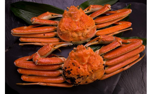 ãå³éžïŒïŒã¿ã°ä»ããã©ã³ããè¹ã§æŸèã㫠鮮床æçŸ€ãéè¹ã§ã«ãŠãå±ãïŒïŒ 800gçŽÃ3æ¯