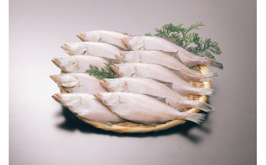 【店主一押し！絶品干物！高リピート！】エテカレイ一夜干し　中サイズ（朝食サイズ）12枚