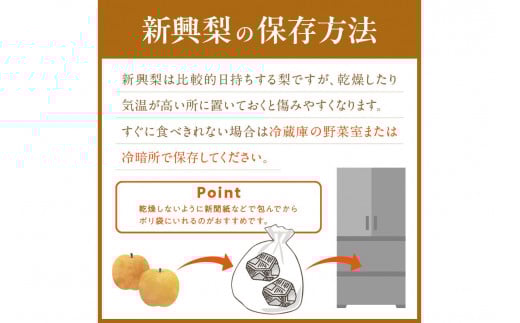 【先行予約／数量限定150】京丹後産 新興梨 5kg（8～14玉入り）（2026年10月中旬～発送）