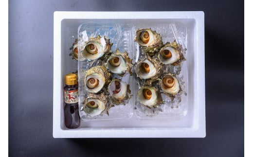 BBQに最適！　天然サザエ　ボイル済み　1.6kg　小サイズ（22～30個）　※万能ダシ付き