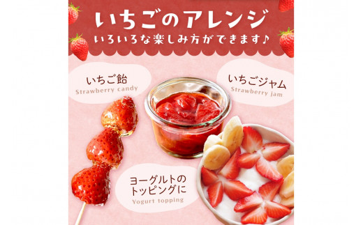 【先行予約／数量限定200】京都・まつみやファームのいちご（あきひめイチゴ）4パック（2026年3月中旬～発送）