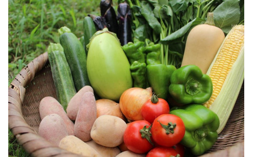 ＜てんとうむしばたけ＞オーガニック野菜セット　有機野菜6～7種(2人用)