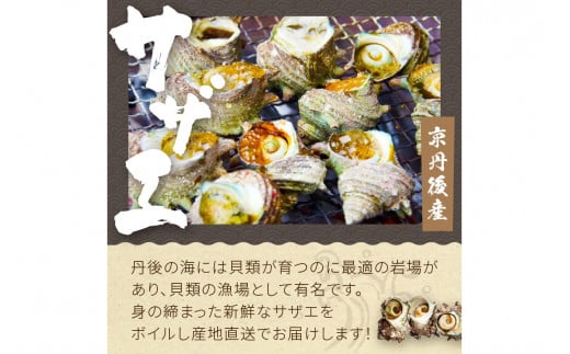【先行予約】大満足！京丹後・海鮮BBQ　Fセット　豪華盛り合わせ　生ズワイガニ　アワビ付　7種23品（4～5人前）（2026年4月中旬～発送）