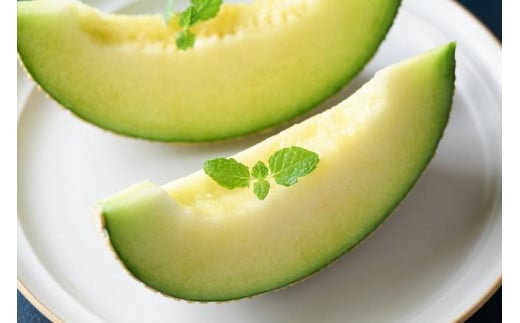 【先行予約】みんな大好き甘～ぃ！京丹後砂丘めろん！ 2玉（2026年7月下旬～発送）　YK00530