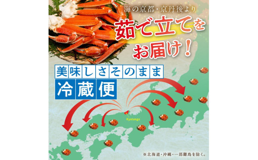 【大好評！カニ酢付き】厳選！！釜茹で 本ズワイガニ ２Lサイズ10肩