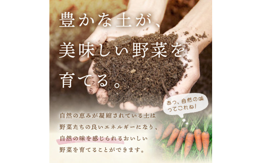 【先行予約：11月配送】＜てんとうむしばたけ＞冬のオーガニック野菜セット　有機野菜6～7種前後