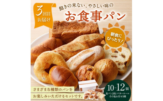 京都 丹後のおまかせ　お楽しみパン５カ月定期便　【訳あり】