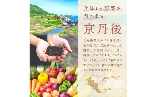 オーガニックファームでのんびり過ごそう！収穫体験&お土産付き(2名様分)