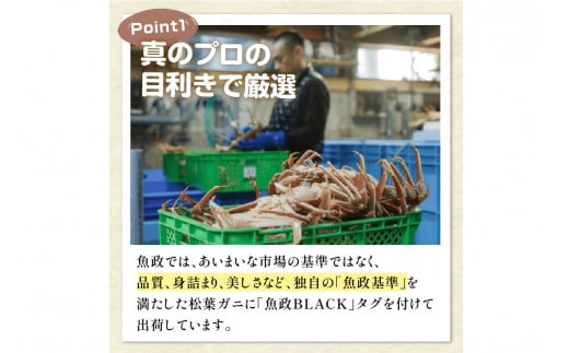 【蟹の匠 魚政】茹で　プレミアムズワイガニ 魚政BLACK（松葉ガニ・越前ガニ）特撰 中サイズ（800〜900g） 1匹(11月〜12月発送)