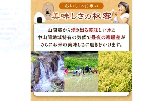 2025年産 京都・久美浜産 特別栽培米コシヒカリ 1.5kg×2袋