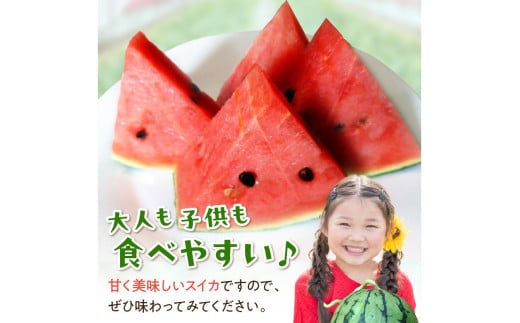 【先行予約／数量限定200】にしまるスイカ 訳あり 1玉入り（露地栽培）（2026年7月中旬から発送）　FR00014
