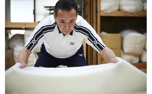 äŒçµ±ã®ãµãšãå±ãäœãã¹ãã¬ããããšã¬ãããŒã«ïŒå°ïŒãHT00127