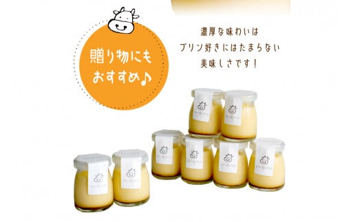 【牧場直営】搾りたての新鮮ミルク作るミルク工房そらの濃厚ジャージープリン