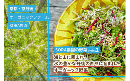 SORA農園有機野菜セット年2回（夏季・冬季）お届け 12種類前後 オーガニック野菜 詰め合わせ 栽培期間中農薬不使用 ふるさと納税 オーガニック ふるさと納税 有機野菜
