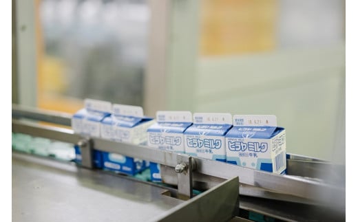 ひらひらミルピィシャーベット6個セット