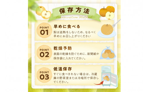 【先行予約／数量限定700】20世紀梨（訳あり） 5kg（10～16玉）（2026年8月下旬～発送）