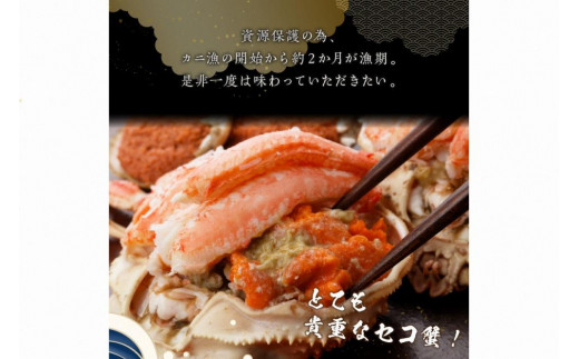 ☆蟹の宝石箱☆ お手軽！絶品！ セイコガニ甲羅盛 5杯