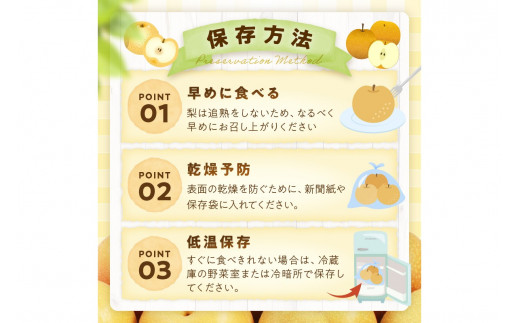 【先行予約／数量限定700】新興梨（訳あり） 5kg （7～12玉）（2026年9月下旬～発送）