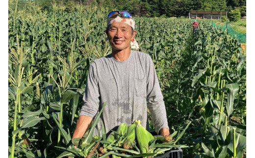 ＜てんとうむしばたけ＞有機とうもろこし5本　有機野菜 甘い 野菜 ふるさと納税 とうもろこし 期間限定 とうもろこしごはん かき揚げ 有機 オーガニック 産地直送 旬野菜 旬 コーン バター ペッパーランチ シャキシャキ 弾ける 丸ごと かぶりつき