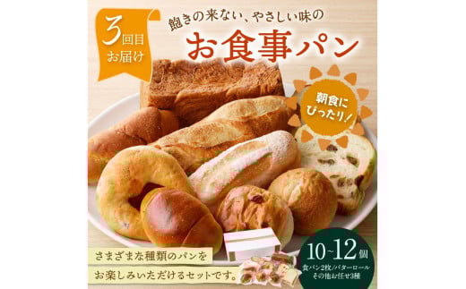 京都 丹後のおまかせ　お楽しみパン3カ月定期便　【訳あり】