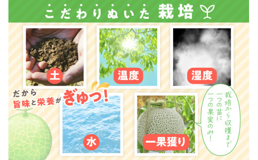 ãå
è¡äºçŽïŒæ°ééå®100ããããããã¡ãŒã ã®éèã¡ãã³ïŒèš³ããåïŒïŒ2026幎6æäžæ¬ïœçºéïŒ