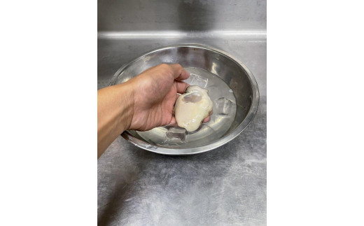 【先行予約】京都・京丹後産　鮮度抜群！濃厚肉厚岩牡蠣（生食用）12個入り（個別包装・冷凍）