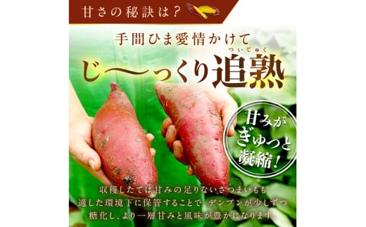 【先行予約】日本一！さつまいもオブザイヤー2部門受賞のサツマイモ農家が作る「紅はるか」の冷凍焼き芋2kg（8〜14本程度）（2026年2月中旬〜発送）