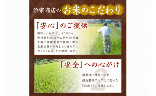 京都・丹後コシヒカリ 無洗米 5kg　米 お米 コシヒカリ ふるさと納税 無洗米 ふるさと納税 米 ふるさと納税 お米 ふるさと納税 コシヒカリ 農家応援 生産者応援 送料無料