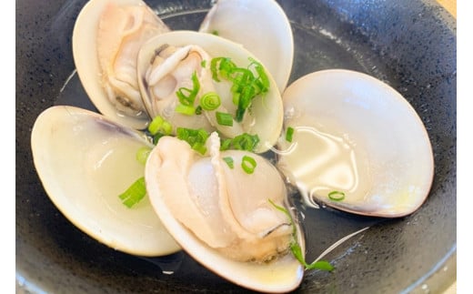 畜養活はまぐり 1kg