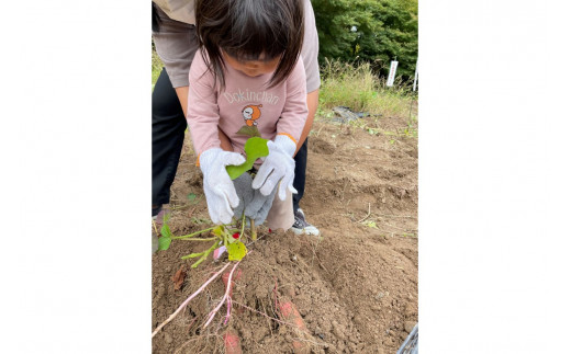 道の駅　丹後王国「食のみやこ」応援感謝券（500円券×6枚）