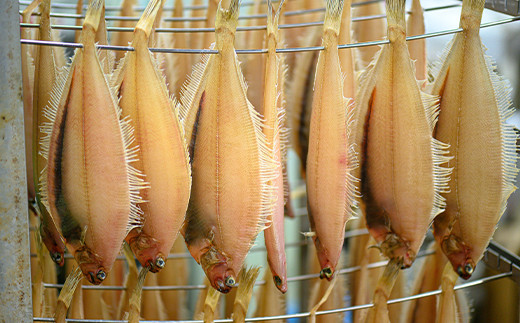 笹かれい一夜干し（ササカレイ、ヤナギムシカレイ）中サイズ 5尾セット　海鮮 魚介 魚介類 カレイ 一夜干し 100g～ 5尾 セット 冷凍 干物 干もの 塩焼き 脂のり 揚げ 簡単調理 笹がれい やなぎかれい 日本海産 かれいの王様 真空パック お取り寄せ 送料無料
