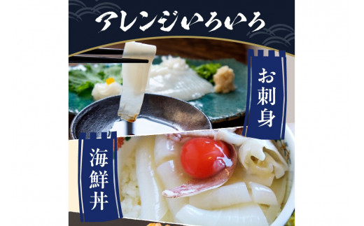 日本海産『海の京都』の逸品！！　活白イカ姿造り（クリスタル白いか）中大サイズ 2杯（250g前後）（2027年6月上旬～発送） ふるさと納税 海鮮 鮮度抜群 新鮮 海鮮 いか イカ 簡単調理 生産者応援 送料無料 生食 魚介類 活イカ