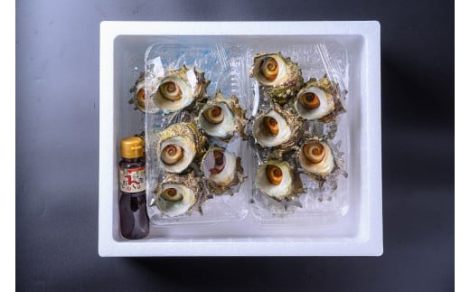 BBQに最適！　天然サザエ　ボイル済み　1.6kg　中サイズ（16～21個）　※万能ダシ付き