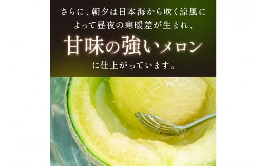 【先行予約／数量限定450】京丹後産 砂丘メロン 大玉2L以上 1玉（2026年7月下旬～発送）