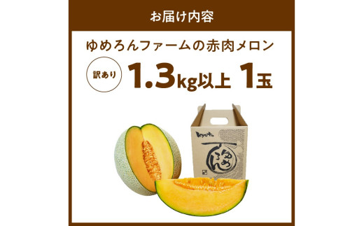 ãå
è¡äºçŽïŒæ°ééå®100ããããããã¡ãŒã ã®èµ€èã¡ãã³ïŒèš³ããåïŒïŒ2026幎6æäžæ¬ïœçºéïŒ