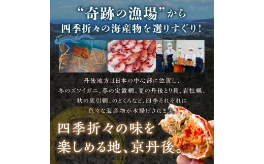 BBQに最適！　天然サザエ　ボイル済み　1.6kg　中サイズ（16～21個）　※万能ダシ付き