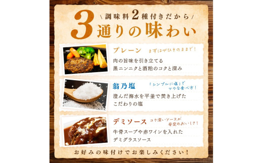 <定期便・隔月3回>塩で食べるやわらかハンバーグ（デミグラスソース付）
