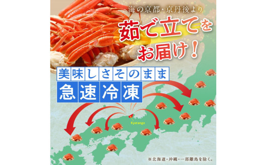【訳あり！カニ酢付き】急速冷凍 ボイル済み 本ズワイガニ 2Lサイズ6肩　蟹・カニ・かに・ボイルカニ・ボイルズワイガニ・訳あり かに