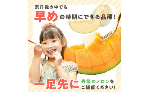 【先行予約／数量限定100】ゆめろんファームの赤肉メロン（2026年6月上旬～発送）