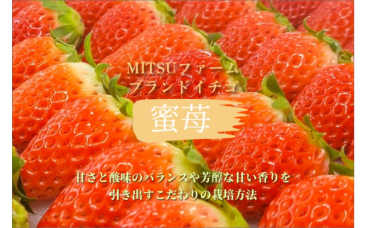 【先行予約】2026年産 京都 蜜いちご（あきひめ）（大サイズ（6粒または8粒）×2パック）約450g（2026年1月上旬～発送）