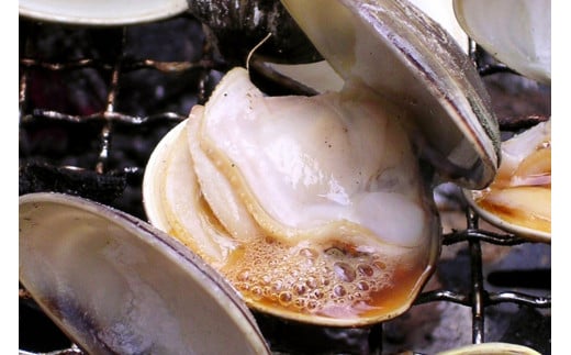 畜養活はまぐり 1kg