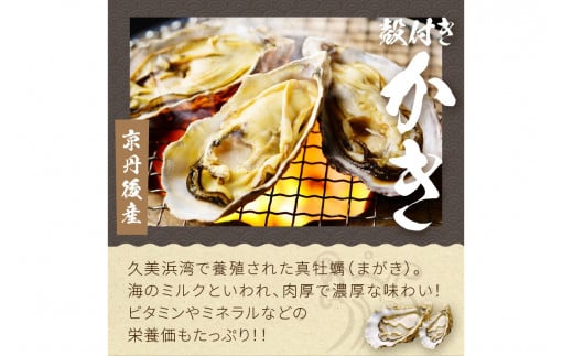 【先行予約】大満足！京丹後・海鮮BBQ　Cセット　贅沢生ズワイガニ付き　4種11品（3～4人前）（2026年4月中旬～発送）　YK00554