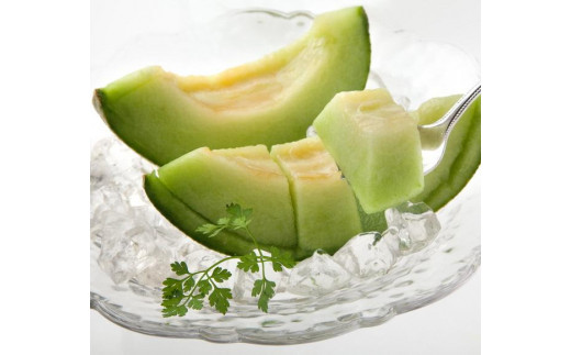 【先行予約】みんな大好き甘～ぃ！京丹後砂丘めろん！ 3玉（2026年7月下旬～発送）