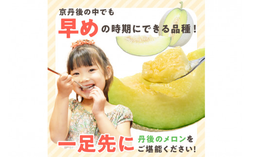 【先行予約／数量限定100】ゆめろんファームの青肉メロン（2026年6月上旬～発送）