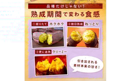 ＜てんとうむしばたけ＞有機さつまいも(紅はるか)5kg　有機野菜 さつま芋 サツマイモ 薩摩芋 ふるさと納税 野菜 イモ 期間限定 紅はるか 甘い 貯蔵 熟成 オーガニック ねっとり あまい焼き芋 国産 ほくほく 土付き 旬 秋 京都産